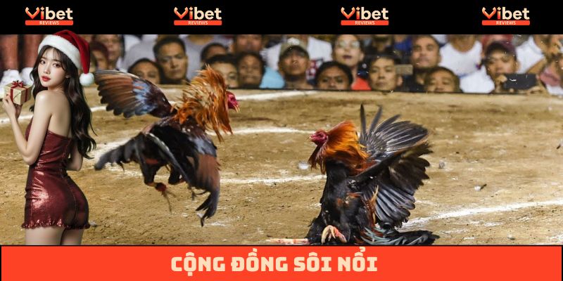 Cộng đồng người xem sôi động
