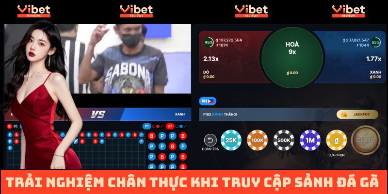Cảm nhận hội viên khi trải nghiệm sảnh đá gà Vibet