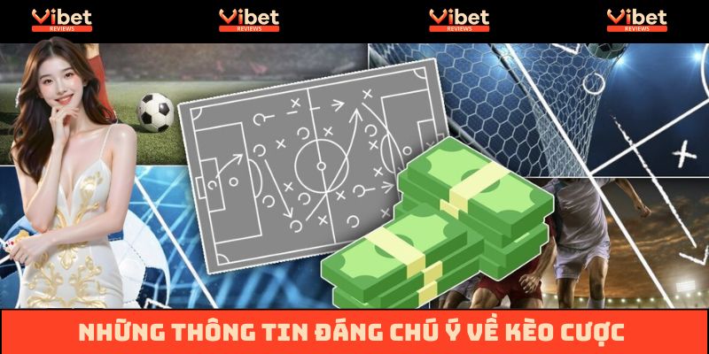Những thông tin đáng chú ý