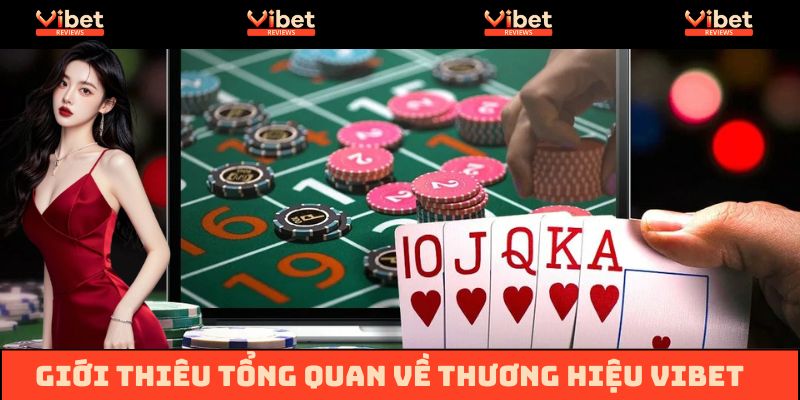 Vibet - Tổng quan về thương hiệu